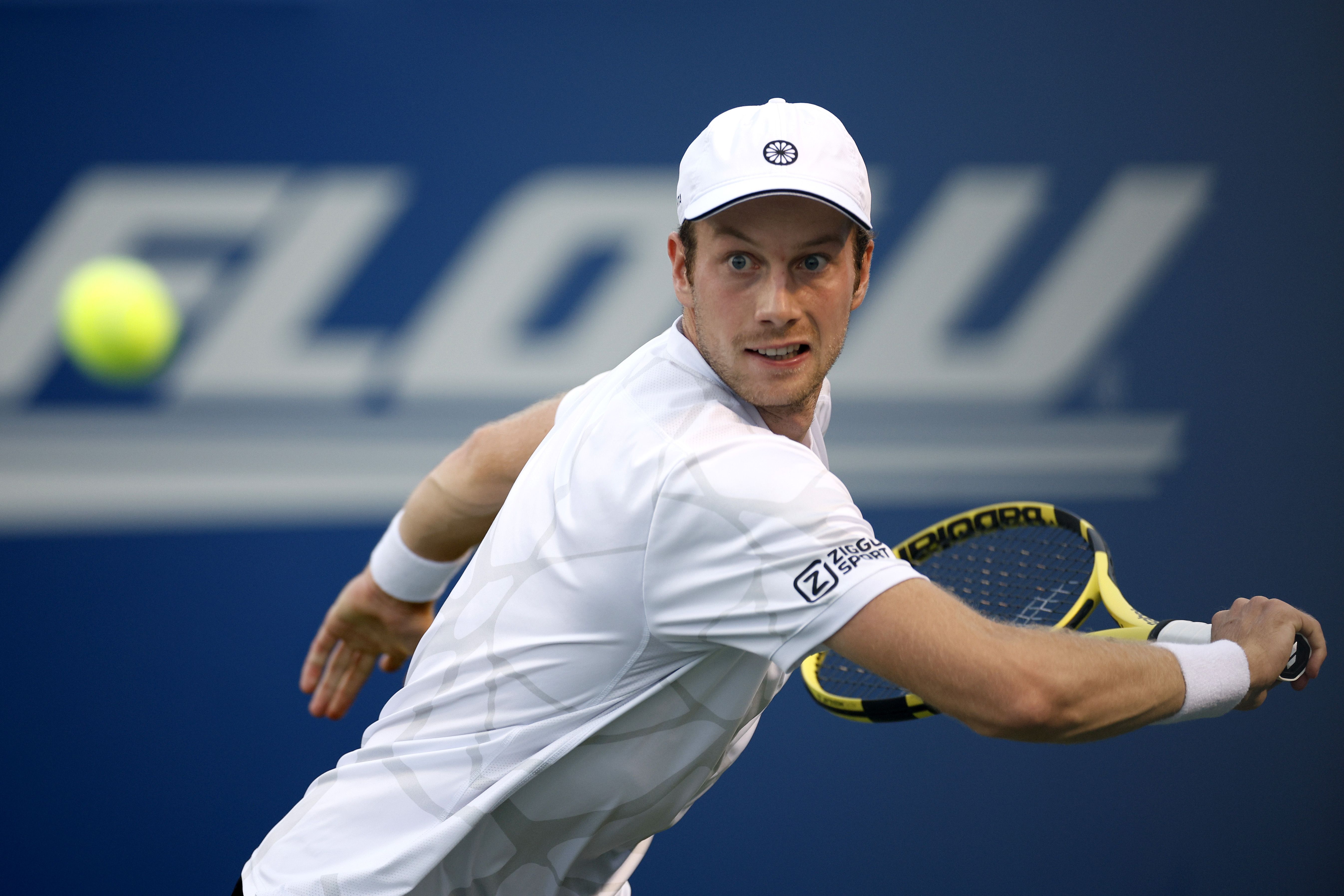 Маннарино ван де зандшульп прогноз. ATP Winston Salem 2018 winner.